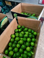 Vietnam Verse Lime Pitloze/Groen Circus Fruit/Verse Groene Citroen Pitloze + 84986778999 David