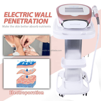 Portátil Dcool D Cool Cold and Hot Electroporación Cryo Facial Skin D-cool Machine Skin Freezing Face Cleaning Machine