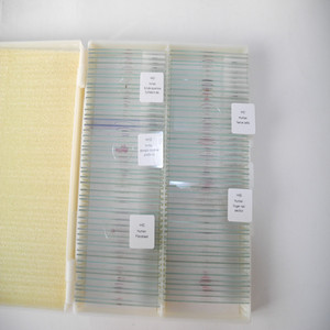 Productos Recomendados: Portaobjetos de Tejido Normal Médico de Hospitales Universitarios e Institutos de Investigación; 100 Tipos de Biológicos - Product Image 2