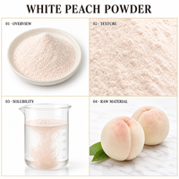 Witte perzikpoeder, wateroplosbaar wit perzikfruitpoeder, instant perzikpoeder, vaste drank