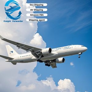 Tür-zu-Tür-Luft-und Seetransport-Zoll abfertigung von China in die USA - Product Image 2