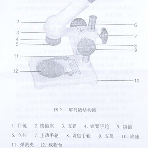 Dissecting <b>microscope</b> 20 upright image J2705 working distance 55mm, biological laboratory dissection <b>microscope</b> equipment - Product Image 3