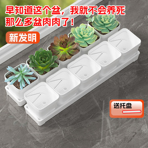 Pot de fleurs blanc pour plantes succulentes, petite taille, respirant, avec contrôle des racines, plateau intégré, pour bureau ou sol - Product Image 2