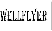 Shenzhen Wellflyer Technology Co., Ltd. logo