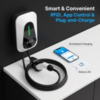 Cargador de Vehículos Eléctricos Personalizado IP65 de 7kW, 11kW y 22kW con Certificación CE, UKCA, RoHS y TUV, OEM, ODM