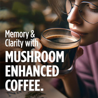 Capsules de café fonctionnelles en K-Cup, marque privée, recyclables, à base de champignons Lion's Mane et Chaga, sans sucre, pour la clarté mentale