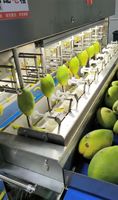 Nieuw ontwerp industriële grote schilmachine schillijnapparatuur Dragon fruit Mango schilmachine Vervangt 16 arbeiders
