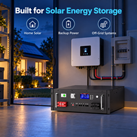 Batterie LiFePO4 51,2V 100Ah 5,12kWh à montage en rack avec BMS 100A CAN RS485 Bluetooth pour stockage d'énergie solaire