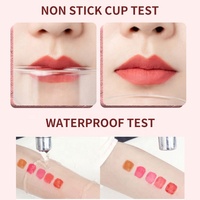 Vente en gros Offre Spéciale 5 couleurs vin rouge à lèvres mat longue durée imperméable à l'eau teinte pour les lèvres ensemble Mini brillant à lèvres