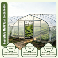 Grande serre à légumes intelligente multi-chapelles de style Venlo avec structure en acier à conception libre