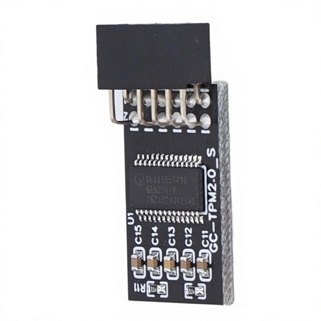 TPM 2.0 Module for GIGABYTE with Remote Card Security 12 Pins SPI LPC Encryption Board Model Srliya6rqp4ecnkm