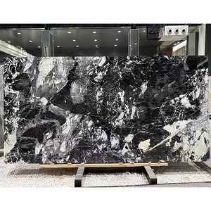 Mármol Negro Napoleón Pulido de Alta Calidad TMZ Stone ODM OEM, Moderno y Popular, para Uso Interior y Exterior - Product Image 2