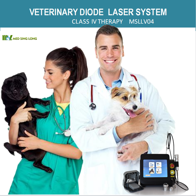 Veterinary Vet therapy laser