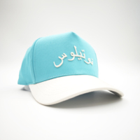 Gorra de Béisbol Deportiva de Dos Tonos, 5 Paneles, con Bordado a Mano, Estilo Oxford, Unisex, Ajustable, Estilo Hip Hop