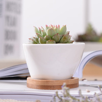 Petits pots de fleurs en céramique blancs triangulaires pour l'intérieur et l'extérieur avec des plateaux en bambou