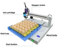 NP merek mesin Printer Laser telur, mesin cap telur Printer Inkjet untuk telur