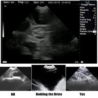 GOYOJO 3.5Mhz Échographie vétérinaire pour la détection de grossesse animale avec sonde sectorielle, panneaux 8 couleurs, vidéo 256FPS pour mouton et chat