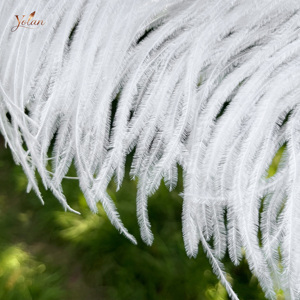 Plumas de Avestruz Auténticas Teñidas al por Mayor de Sudáfrica, Plumas Grandes y Esponjosas, Plumas de Avestruz Esponjosas - Product Image 2
