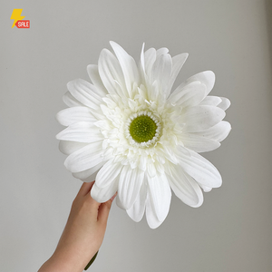 Dc055 Đại Liên Chermy Dài Gốc 65Cm <span class=keywords><strong>Gerbera</strong></span> Nhân Tạo Hoa Trắng Bất Cảm Ứng <span class=keywords><strong>Gerbera</strong></span> Hoa Cho Đám Cưới Trang Trí - Product Image 6