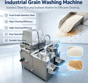 Machine à laver les céréales à haute capacité et haute qualité pour riz, sésame, blé, millet – Équipement <span class=keywords><strong>de</strong></span> lavage <span class=keywords><strong>de</strong></span> grains à vendre - Product Image 1