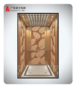 Good Quality Small Room Elevator VVVF Driving Passenger Lift For Hotel And Office Building