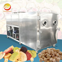 Ligne de production de lyophilisateur alimentaire ORME de grande capacité (500 kg, 1500 kg, 2000 kg) pour fruits - Prix