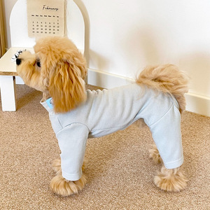 Köpek Kıyafetleri Sonbahar Kış Yeni Stil Alman Kadife Spor Tarzı Süper Yumuşak Sıcak Elastik Tek Parç<span class=keywords><strong>a</strong></span> Dört Ayaklı XS Ev Kullanımı - Product Image 4