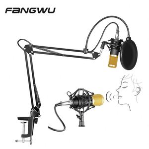 Professional Music Recording Station Condenser Mikes Bm800 Mics With Stereo - Product Image 1