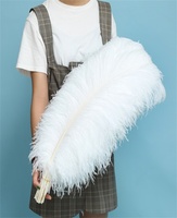 Plumes d'autruche stérilisées et teintes de 70-75 cm (couleur personnalisée) HKFeathers pour mariages, carnavals, festivals naturels - Cadeau directement de l'usine
