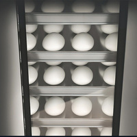 Machine à faire levage du pain électrique commerciale à 6 plateaux, appareil de levage vertical, mini-armoire de levage pour boulangerie