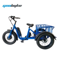 Triciclo eléctrico de tres ruedas de bicicleta eléctrica triciclo eléctrico neumático gordo