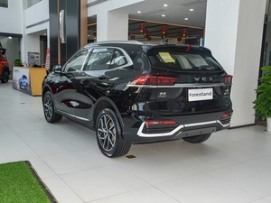 Repuestos Globales Completos para Great Wall New Energy, Plataforma DHT, Transmisión Automática, SUV, Bajo Costo de Operación Diaria - Product Image 5