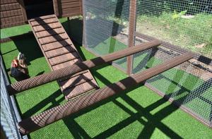 Best Seller açık ahşap hayvan <span class=keywords><strong>Pet</strong></span> malzemeleri ürünleri kafesleri ahşap büyük Run tavuk evi kafes Coop - Product Image 4