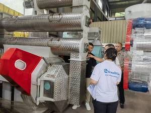 Machine à fabriquer des granulés d'aliments pour animaux de 10 tonnes/h à vendre, <span class=keywords><strong>prix</strong></span> de l'usine de granulés d'aliments pour volailles au Pakistan - Product Image 4