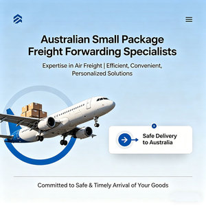 <b>Dropshipping</b> Agent China to Australian Small Package 0-5kg Shipping Service By Air DDP 3PL Service for Shopify Etsy Amazon - Product Image 5