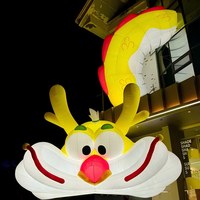 Ballon gonflable en PVC personnalisé en forme de dragon avec lumières, durable, facile à installer, promotion commerciale, décorations multi-usages, imperméable