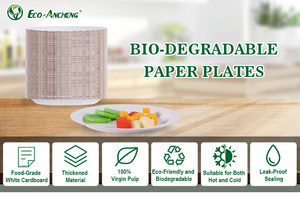 Plato de Papel Desechable para Restaurantes, Servicios de Comida para Llevar y la Industria Hotelera - Product Image 5