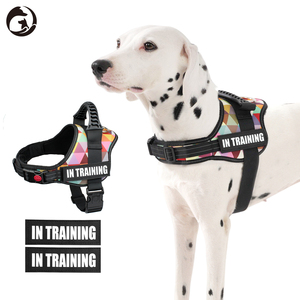 สายจูงสุนัขส่วนบุคคลที่ดีที่สุดพร้อมชื่อแพทช์บริการเสื้อกั๊กสุนัขไม่ดึงไม่มีโช้คสำหรับสุนัขขนาดเล็กขนาดกลางขนาดใหญ่ที่กำหนดเอง - Product Image 1