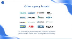 Débitmètre à plaque orifice compacte Rosemount- 2051CFC - Product Image 4