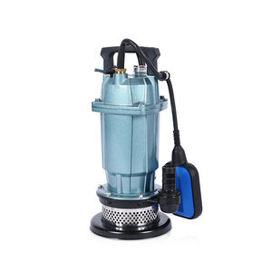 <span class=keywords><strong>Lonkey</strong></span> Aangepaste 1 Inch Volledig Hoofd Dompelbare Waterpomp - Product Image 1