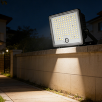 Projecteur LED IP65 en PC/ABS à CRI élevé pour enseignes publicitaires et façades de bâtiments