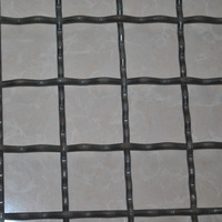Grillage perforé à trous carrés, en acier inoxydable, tissé, ondulé, noir, pour paroi d'enclos à porcs