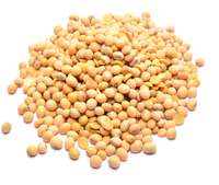 Extrait de soja de qualité alimentaire en vrac, enrichissement nutritionnel naturel, poudre d'oligopeptide de soja à 99%