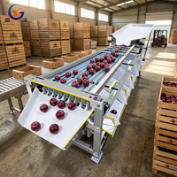 Automatische fruit- en groentesorteermachine, machine voor het sorteren van fruit, kersentomaten en uien, machine voor het sorteren en graderen van bosbessen