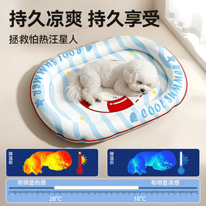 Cool Summer Pet Cooling <b>Pad</b> Oval Ice Mat For <b>Dog</b> Summer Use - Product Image 5