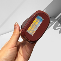 Appareil d'épilation au laser IPL de haute qualité à vente chaude en Asie du Sud-Est, double tube lumineux, 24j, épilateur saphir haute énergie