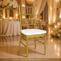 Chaises de banquet empilables en fer, modernes, luxueuses et confortables, idéales pour les mariages, les événements et le salon - Vente en gros