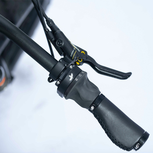 Vélo électrique à gros pneus <span class=keywords><strong>Rohloff</strong></span> à 14 vitesses avec transmission par courroie, batterie Li de grande capacité 30ah, système de transmission intermédiaire Bafang M620 - Product Image 4