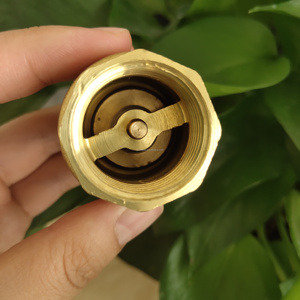 Hướng dẫn sử dụng một chiều Đồng dọc kiểm tra van đồng thau chống chảy ngược cho phương tiện truyền thông nước - Product Image 5