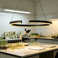 Lampe suspendue LED minimaliste, en aluminium et acrylique, vente en gros directe d'usine, finition personnalisée, éclairage pour restaurant et bar